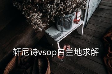 軒尼詩vsop白蘭地求解