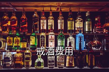 戒酒費用