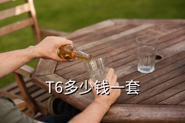 T6多少錢一套