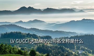 LV GUCCI 大品牌的公司名全稱是什么