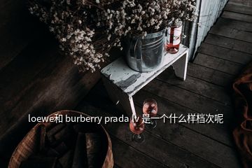 loewe和 burberry prada lv 是一個(gè)什么樣檔次呢