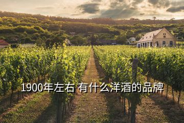 1900年左右 有什么洋酒的品牌