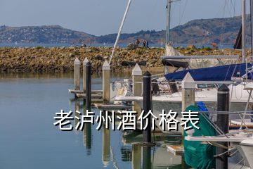 老瀘州酒價格表