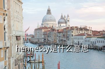 hennessy是什么意思