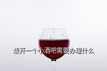 想開一個(gè)小酒吧需要辦理什么