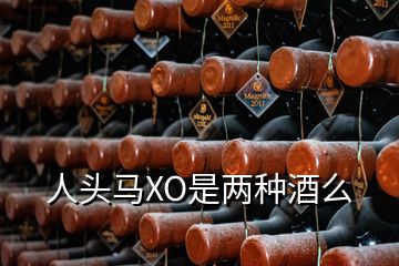 人頭馬XO是兩種酒么