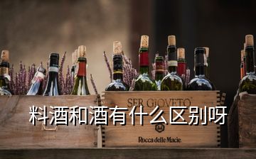 料酒和酒有什么區(qū)別呀