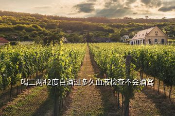 喝二兩42度白酒過多久血液檢查不會(huì)酒駕