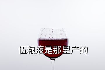 伍糧液是那里產(chǎn)的