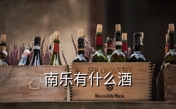 南樂(lè)有什么酒