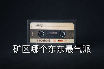 礦區(qū)哪個(gè)東東最氣派