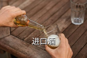 進(jìn)口酒