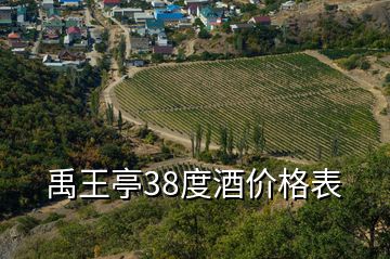 禹王亭38度酒價(jià)格表