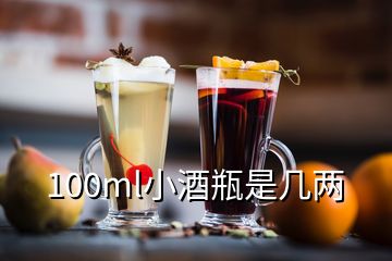 100ml小酒瓶是幾兩