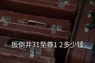 扳倒井31至尊1 2多少錢