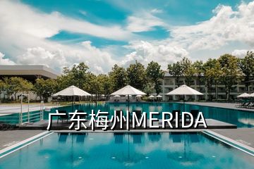 廣東梅州MERIDA