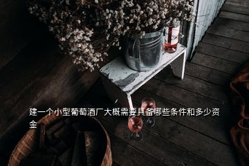 建一個(gè)小型葡萄酒廠大概需要具備哪些條件和多少資金