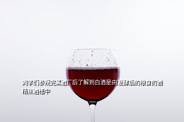 同學(xué)們參觀完某酒廠后了解到白酒是由發(fā)酵后的糧食的酒精從酒槽中