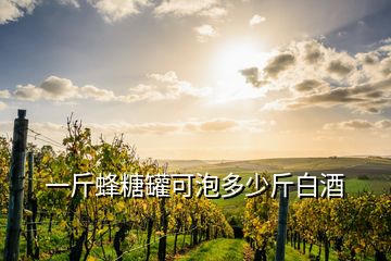 一斤蜂糖罐可泡多少斤白酒