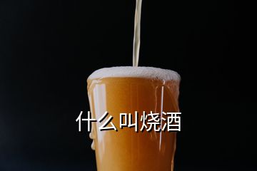 什么叫燒酒