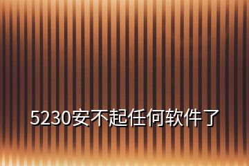 5230安不起任何軟件了