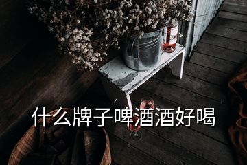 什么牌子啤酒酒好喝