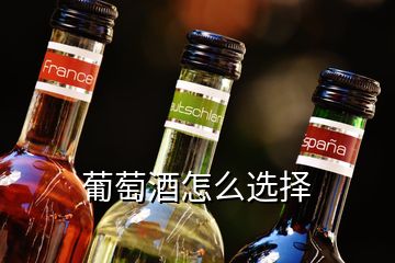 葡萄酒怎么選擇