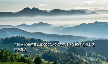 卡慕皇家干邑白蘭地COGNAC CAMUS XO 這種酒圖上這種酒真酒