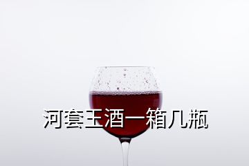 河套王酒一箱幾瓶