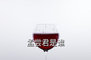 孟嘗君是誰