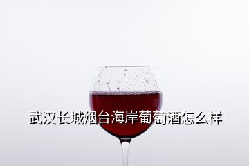 武漢長(zhǎng)城煙臺(tái)海岸葡萄酒怎么樣