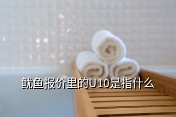 魷魚報(bào)價(jià)里的U10是指什么