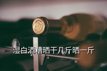 濕白酒糟曬干幾斤曬一斤