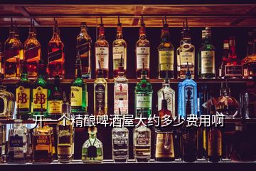 開一個(gè)精釀啤酒屋大約多少費(fèi)用啊