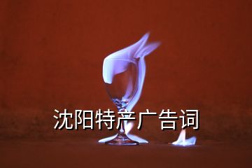 沈陽特產廣告詞