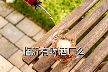 臨沂有啤酒廠么