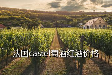 法國castel萄酒紅酒價(jià)格