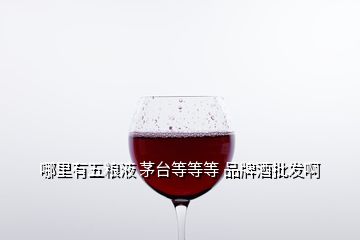 哪里有五糧液 茅臺(tái)等等等 品牌酒批發(fā)啊