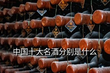 中國十大名酒分別是什么