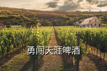 勇闖天涯啤酒