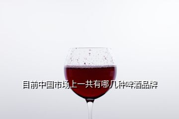 目前中國市場上一共有哪幾種啤酒品牌