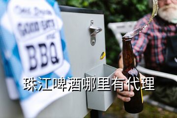 珠江啤酒哪里有代理