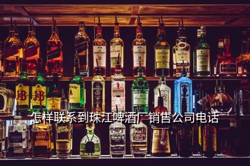 怎樣聯(lián)系到珠江啤酒廠銷售公司電話