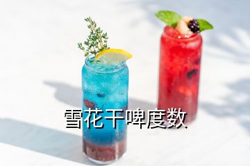 雪花干啤度數(shù)