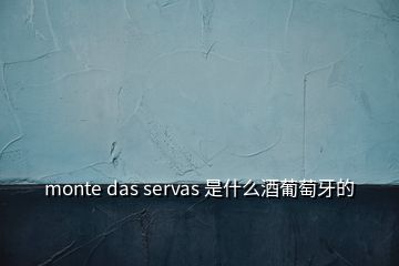 monte das servas 是什么酒葡萄牙的