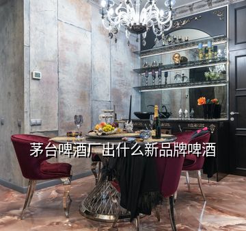 茅臺(tái)啤酒廠出什么新品牌啤酒