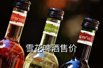 雪花啤酒售價