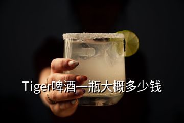 Tiger啤酒一瓶大概多少錢