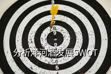 分析洋河酒發(fā)展SWOT