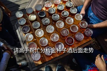 請高手幫忙分析金種子酒后面走勢